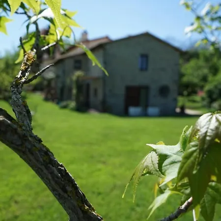 Castagna Dulcis-3